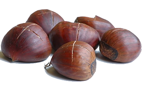 chestnuts